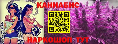СК Гатчина