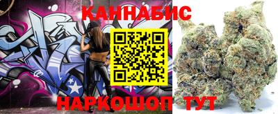 СК Гатчина