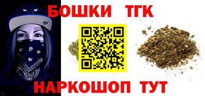 СК Гатчина