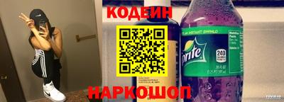 СК Гатчина