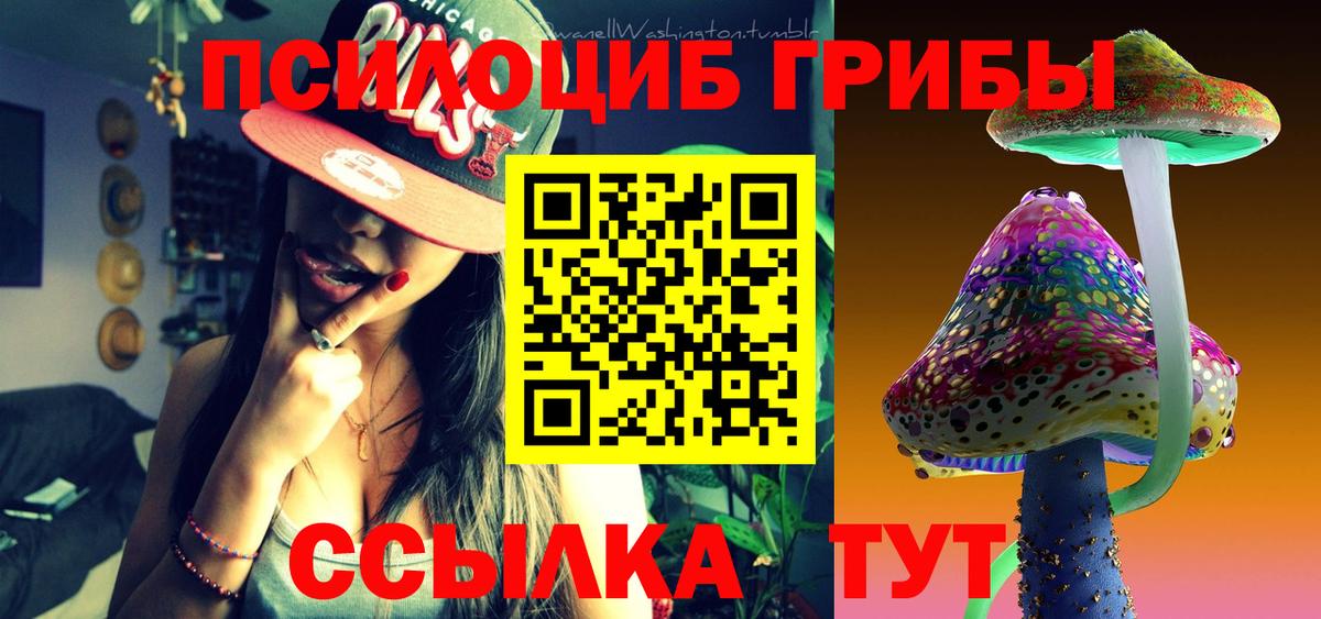 Мурино  Галлюциногенные грибы Magic Shrooms  Псилоцибиновые грибы Psilocybe  Вход с VPN 