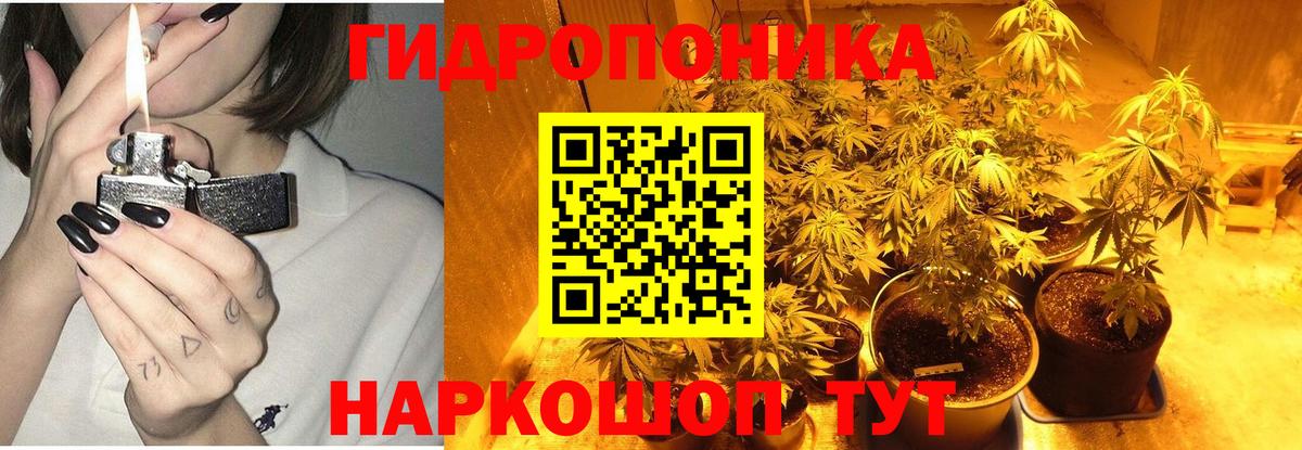 Конопля White Widow  Вход с VPN  Канабис сатива  Мурино 
